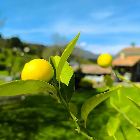 La Babounette 4* Jaujac